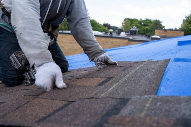 Best Metal Roofing Contractor  in Vista Center, NJ