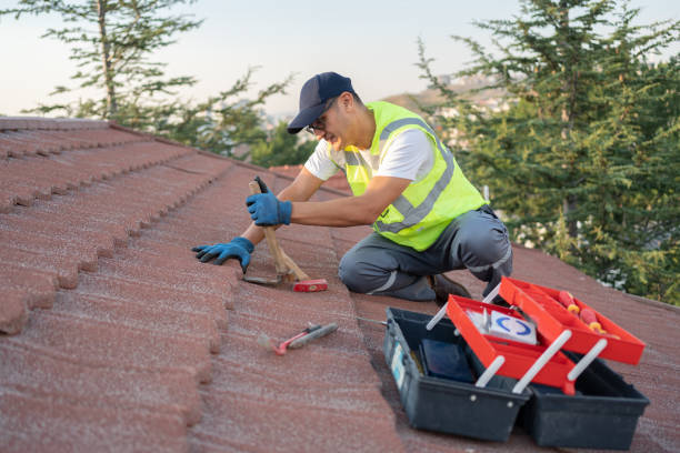 Roof Waterproofing Services in Vista Center, NJ